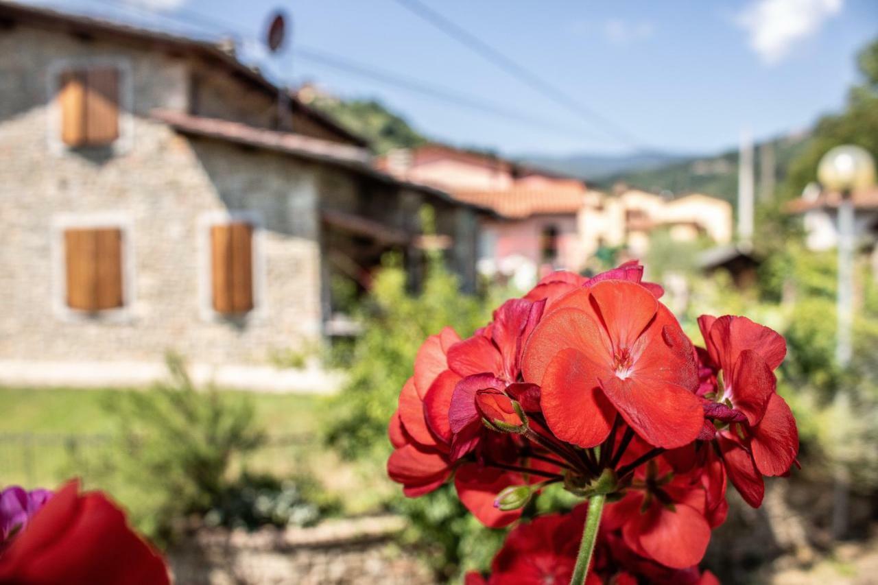 B&B La Casa D'Artista Ortignano Raggiolo Eksteriør bilde