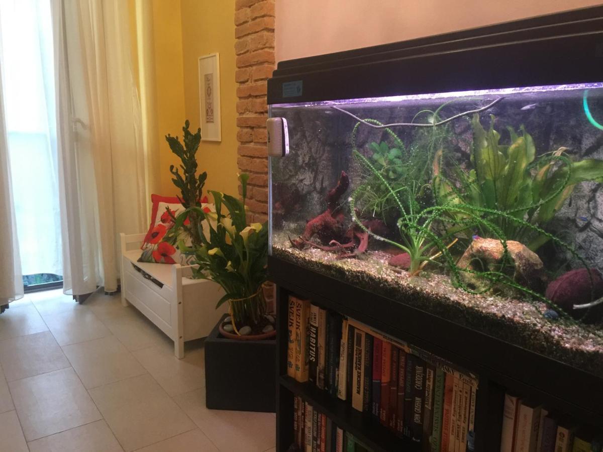 B&B La Casa D'Artista Ortignano Raggiolo Eksteriør bilde